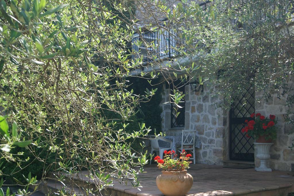 B&B H.M. Sonnino Habitación foto