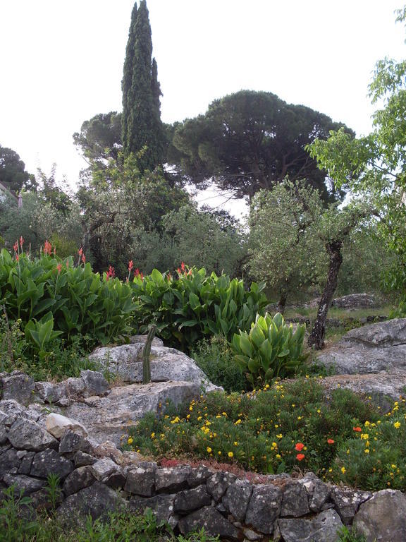 B&B H.M. Sonnino Exterior foto